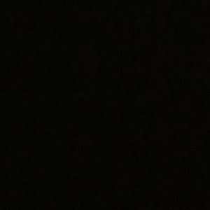 Meet your Posher, Ellie